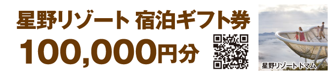 星野リゾート 宿泊ギフト券 100,000円分